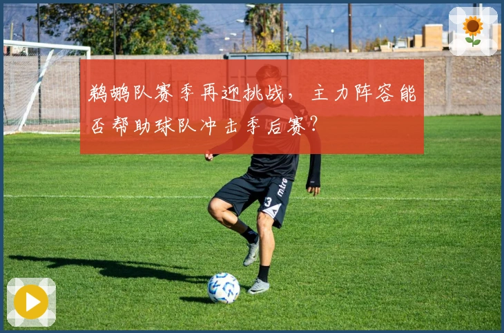 鹈鹕队赛季再迎挑战，主力阵容能否帮助球队冲击季后赛？