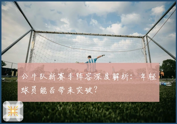 公牛队新赛季阵容深度解析：年轻球员能否带来突破？
